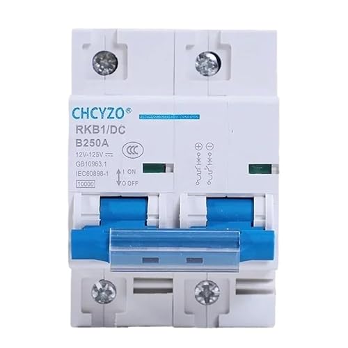 Sicherungsautomat,Leitungsschutzschalter DC 2p Circuit Breaker 12-125V 1P Miniatur Automatische Protector Elektrische Fahrzeug 80A/100A/125A/200A/250A Batterie Schutz(2P,250A) von TroHollis