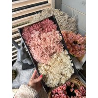 Trockenblumen Box Mit Hortensien | Pastell Deko Blumen Für Diy Floristik Set Getrocknete Blüten Bastelset von Trockenbar