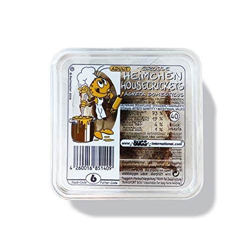 Heimchen Gross in der Dose Verpackt - Portion ca. 35-40 Stück - Reptilienfutter von TropicShop