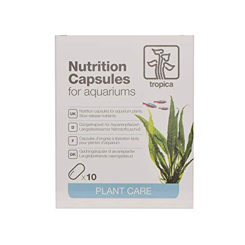 Nutrition capsules, 10 kapsułki von カミハタ