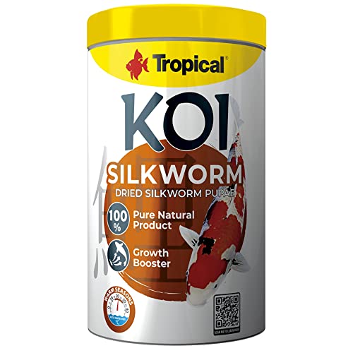 Koi Silkworm 1L Koi Silkworm 1L von Tropical