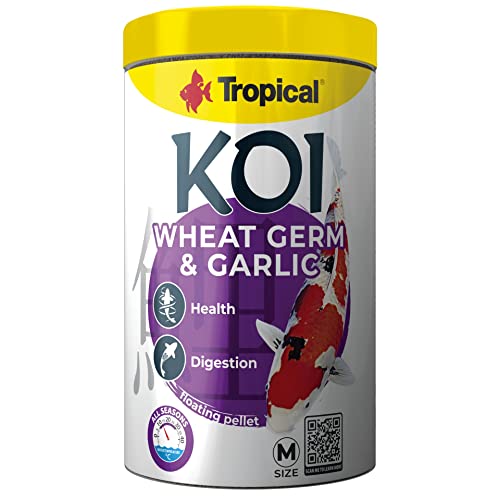 Tropical Koi Wheat Germ&Garlic Pellet M 1L für die tägliche Fütterung von Kois bei einer breiten Wassertemperaturspanne von 8 bis 30°C, eine Quelle leicht verfügbarer Energie, 1000 Gramm, 1E+2 Gramm Tropical Koi Wheat Germ&Garlic Pellet M 1L für die tägliche Fütterung von Kois bei einer breiten Wassertemperaturspanne von 8 bis 30°C, eine Quelle leicht verfügbarer Energie, 1000 Gramm, 1E+2 Gramm von Tropical