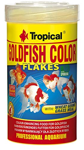 Tropical Goldfish Color Farbverstärkendes Flockenfutter, 6er Pack (6 x 100 ml) von Tropical