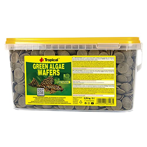 Tropical Green Algae Wafers Welschips, 1er Pack (1 x 5 l) von Tropical