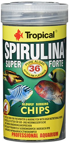 Tropical Super Spirulina Forte Chips mit 36% Spirulina (Platensis) Anteil, 1er Pack (1 x 250 ml) von Tropical