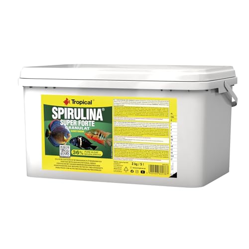 Tropical Super Spirulina Forte Granulatfutter mit 36% Spirulina (Platensis) Anteil, 1er Pack (1 x 5 l) von Tropical