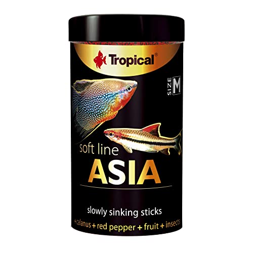 Tropical Weiches Fischfutter für asiatische Fische, Soft Line Asien Größe M, 100 ml Tropical Weiches Fischfutter für asiatische Fische, Soft Line Asien Größe M, 100 ml von Tropical