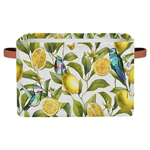 Aufbewahrungskorb Retro Zitrone Vogel Faltbarer Aufbewahrungskorb mit Griff Faltbarer Stofforganizer Würfel Regal Spielzeugschrank Badezimmer 2 Stück von TropicalLife