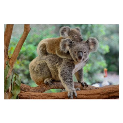 Koala Niedliche Rechteckige Tischsets Set mit 1 Koala Tischset für Küche Esstisch Zuhause Restaurant Waschbar Rutschfest Hitzebeständig PVC Platzset von TropicalLife