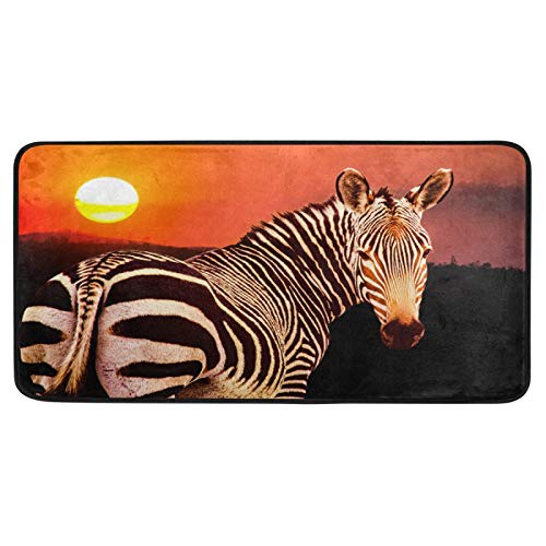 OOWOW Küchenläufer Teppich Mountain Zebra Sonnenuntergang Bodenmatte rutschfest waschbar Fußmatte für Badezimmer drinnen und draußen Eingangsbereich Willkommen Matte 99,1 x 50,8 cm von TropicalLife