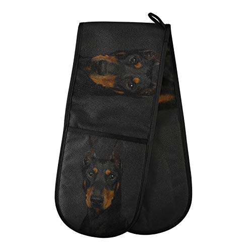 RELEESSS Ofenhandschuhe, Dobermann, Hund, hitzebeständig, doppelte Ofenhandschuhe für Zuhause, Küche, Kochen, Backen von TropicalLife