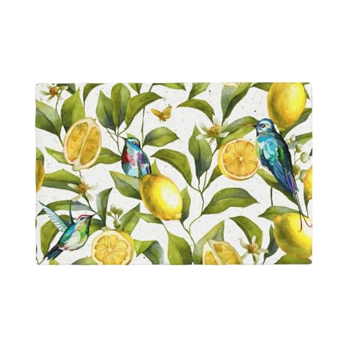 Retro Lemon Bird Placemat 6 Pack Heat Resistant Double Sided Printed Place Mats Washable Kitchen Table Mats for Restaurant Cafe von TropicalLife