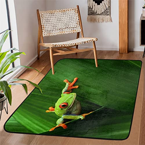 TropicalLife Rotäugiger Baum-Frosch-Teppiche, Dschungel-Frosch, Bodenmatte, rechteckig, für Schlafzimmer, Kinderzimmer, Wohnzimmer, Esszimmer, Küche, Eingang, Flur, Läufer, Teppiche, 99 x 152 cm von TropicalLife