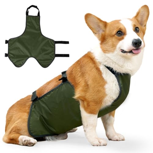 Hund Regenmantel, wasserdichte, atmungsaktive Hunde Regenmantel, Verstellbarer Regenanzug Bauchschutz, für kleine mittelgroße Hunde, m Regenmantelhunde wasserdicht Hund Regenmantel, wasserdichte, atmungsaktive Hunde Regenmantel, Verstellbarer Regenanzug Bauchschutz, für kleine mittelgroße Hunde, m Regenmantelhunde wasserdicht von Trrymbbe