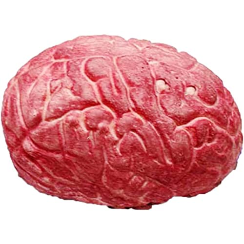 Trrymbbe Halloween Requisite blutige gruselige Organ menschliches Gehirn Körperteile für Halloween -Party -Accessoires von Trrymbbe