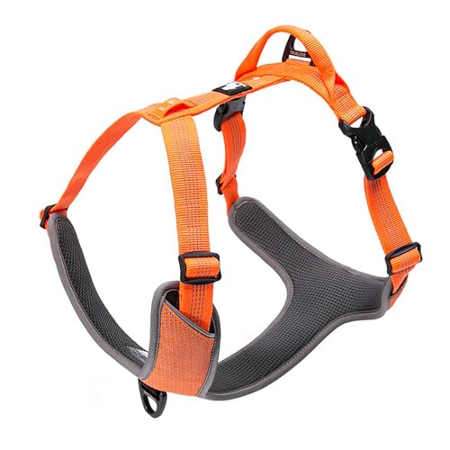 TRUE LOVE Hundegeschirr Outdoor Adventure II Reflektierende Weste mit 2 Leinenbefestigungen, passende Leine und Halsband erhältlich TLH6071 Orange von Truelove