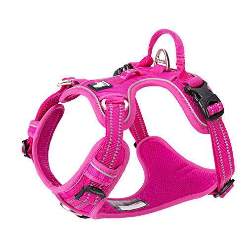 Truelove True Love Hundegeschirr, kein Ziehen, verstellbar, reflektierend, weiches Nylon, für kleine und große Haustiere, TLH56512 (S, Fuchsia) von Truelove