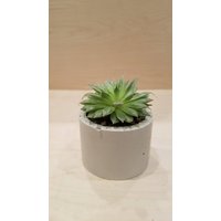Beton Pflanzer/Saft Kerzenhalter Housewarminggeschenk von TrueSouthDesign