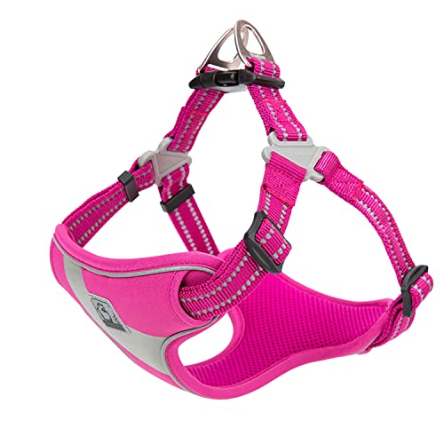 Hundegeschirr Reflektierende Sicherheitsweste für kleine mittelgroße Hunde TLH5991 (M, Fuchsia) von Truelove