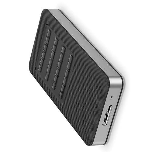 Trufolxiaz Schnellgeschwindigkeit Tragbares Gehäuse Mit MSATA Auto Detection Antislip Grids ABS Aluminium Konstruktion Hardware Verschlüsselung EXTERNALS Speicherbox von Trufolxiaz