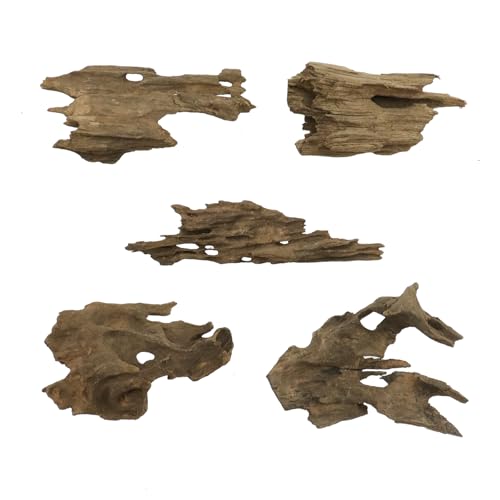 Tsnamay Garnelenholz Treibholz, Länge 5 cm bis 10 cm, für Holz-Aquarium-Dekoration und Mikro-Landschaft, Blumendekoration, 5 Stück Tsnamay Garnelenholz Treibholz, Länge 5 cm bis 10 cm, für Holz-Aquarium-Dekoration und Mikro-Landschaft, Blumendekoration, 5 Stück von Tsnamay