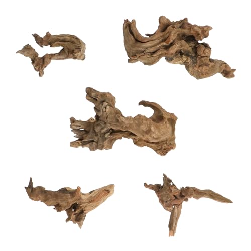 Tsnamay Natürliches Treibholz, Länge 5 cm bis 10 cm, für Aquarium-Dekoration aus Holz und Mikro-Landschaft, Blumendekoration, 5 Stück Tsnamay Natürliches Treibholz, Länge 5 cm bis 10 cm, für Aquarium-Dekoration aus Holz und Mikro-Landschaft, Blumendekoration, 5 Stück von Tsnamay