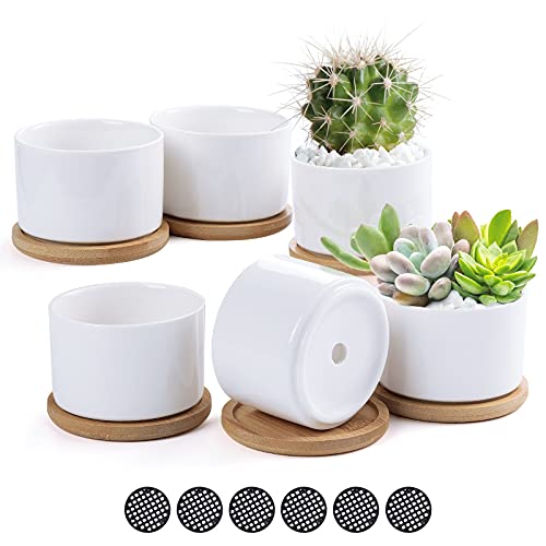 TsunNee 6-teilige 3-Zoll-Keramik-Pflanzgefäße, Klassische runde Sukkulenten-Pflanzgefäße, Keramik-Pflanzgefäße, weiße Mini-dekorative Bonsai-Töpfe TsunNee 6-teilige 3-Zoll-Keramik-Pflanzgefäße, Klassische runde Sukkulenten-Pflanzgefäße, Keramik-Pflanzgefäße, weiße Mini-dekorative Bonsai-Töpfe von TsunNee