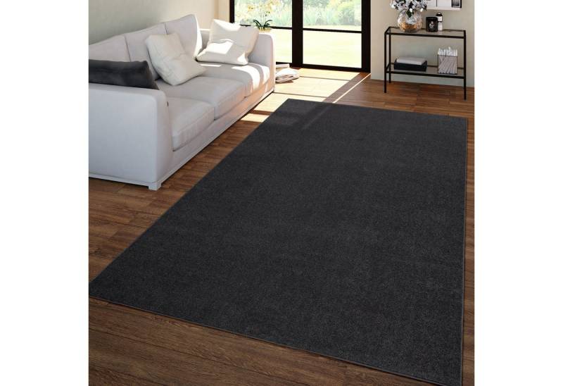 TT Home Teppich, Rechteckig, Höhe: 12 mm, Wohnzimmer Teppich Kurflor Unifarbendes Design Modern Und Zeitlos TT Home Teppich, Rechteckig, Höhe: 12 mm, Wohnzimmer Teppich Kurflor Unifarbendes Design Modern Und Zeitlos von Tt Home