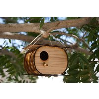 Die Nussschale, Vogelhaus, Vogelhaus Kit, Diy Frühlingsprojekt, Sommerprojekt von TuArteStore