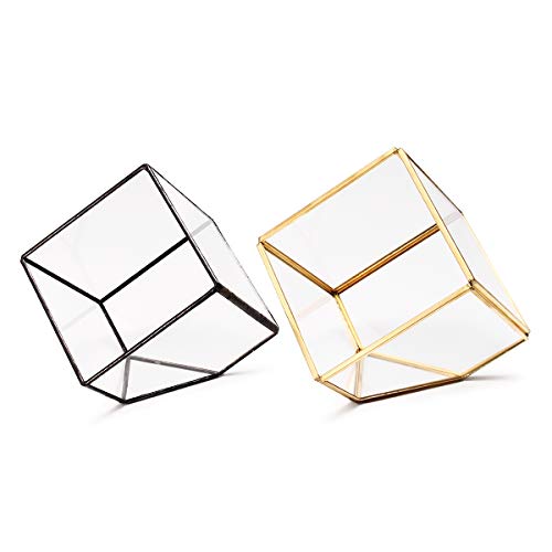 TuToy Moderne Glas Geometrische Terrarium Tischplatte Sukkulenten Geneigte Behälter Farn Moos Blumentopf - Gold von TuToy