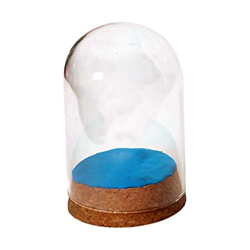 Tubayia 4 Stück Mini Glas Kuppelabdeckung Glasglocke mit Holzkorken für Haus Dekoration Geschenk von Tubayia