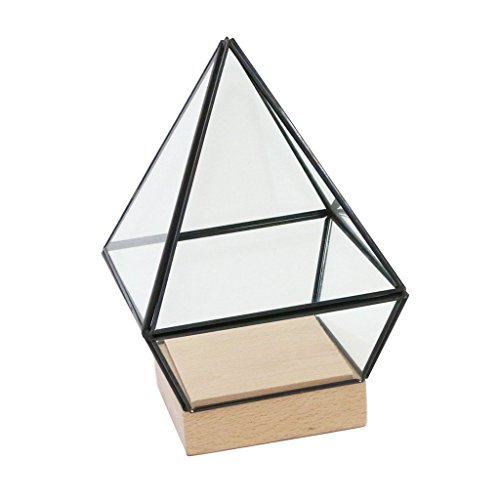 Tubayia Geometrisches Terrarium Glas Box Blumentopf Pflanzen Sukkulenten Vase für Hauptdekoration Tubayia Geometrisches Terrarium Glas Box Blumentopf Pflanzen Sukkulenten Vase für Hauptdekoration von Tubayia
