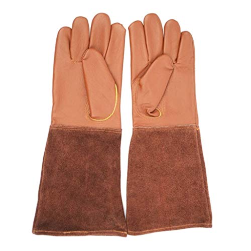 Tubayia Leder Gartenhandschuhe Damen Herren Gartenarbeit Handschuhe Rosenhandschuhe (L) von Tubayia