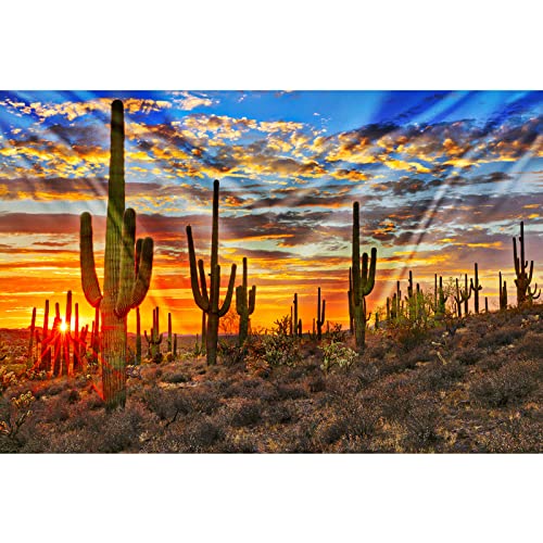 Tucocoo Arizona Desert Tapisserie Saguaro Kakteen Berge Wandteppich für Schlafzimmer Ästhetische Phoenix Sonnenuntergang Landschaft Bilder Natur Landschaft Wandteppiche Wandbehänge für Zimmer (203,2 von Tucocoo