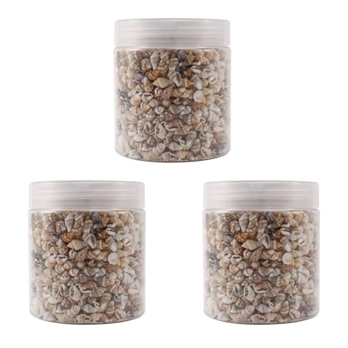Tuesoa Über 3900-4500 Kleine Meer Shell Ocean Meeresstrand Spirale Shell Charm 7-12mm Kerzen Herstellung, Strand Thema, Aquarium und Vase Füllung Tuesoa Über 3900-4500 Kleine Meer Shell Ocean Meeresstrand Spirale Shell Charm 7-12mm Kerzen Herstellung, Strand Thema, Aquarium und Vase Füllung von Tuesoa