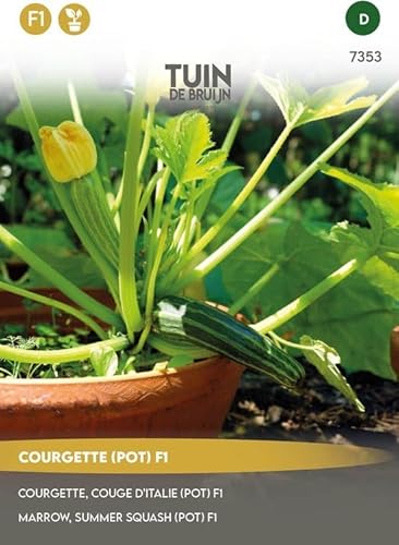Tuin de Bruijn® Samen - Zucchini Patio Star F1 - Anbau in großen Töpfen - sehr leckere kleine Zucchini-Früchte von Tuin de Bruijn