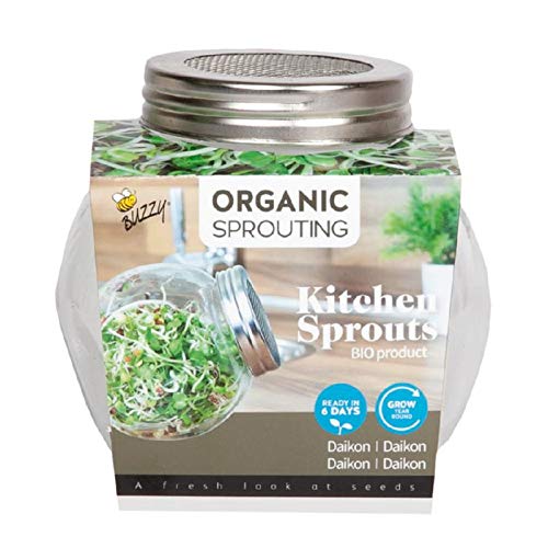 BIO Sprossen Anzuchtset - 1 Sprossenglas im Set mit Probepackung Spossensamen - 7,5g Daikon - Keimglas für Sprossen - Keimschalen für Sprossen - Sprouting BIO Sprossen Anzuchtset - 1 Sprossenglas im Set mit Probepackung Spossensamen - 7,5g Daikon - Keimglas für Sprossen - Keimschalen für Sprossen - Sprouting von Tuinplus bv