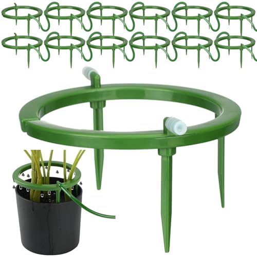 Tujoe 12 Set Wasserring 3 Beinstütze Tropfstrahler Tropfring mit 1/8 Zoll Widerhaken Einlass Fitting Abnehmbare Heringe für Grow Media Bewässerungssystem Regenbewässerung Baumpflanzen, Grün (12,7 cm) Tujoe 12 Set Wasserring 3 Beinstütze Tropfstrahler Tropfring mit 1/8 Zoll Widerhaken Einlass Fitting Abnehmbare Heringe für Grow Media Bewässerungssystem Regenbewässerung Baumpflanzen, Grün (12,7 cm) von Tujoe