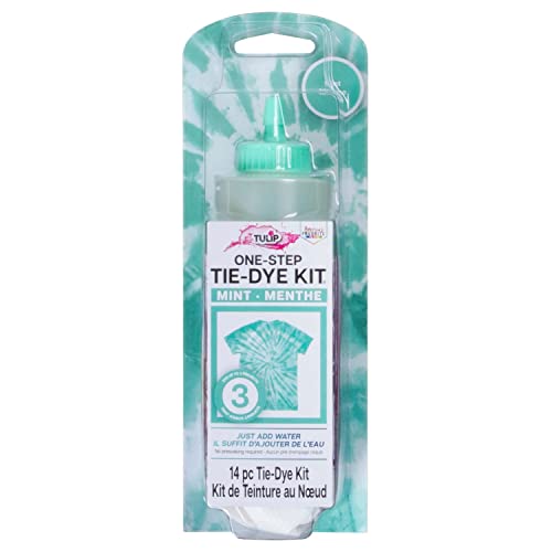 Tulip One-Step Dye Kits - Mint von Tulip