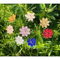 Keramik Margerite von TulpeKeramik