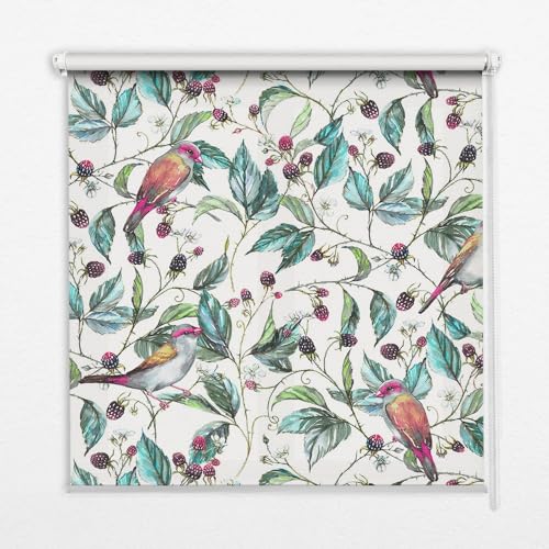 Tulup 60x140cm Innenbereich Rollos Für Fenster Durchlässig - Blaue Blätter und Bunte Vögel von Tulup