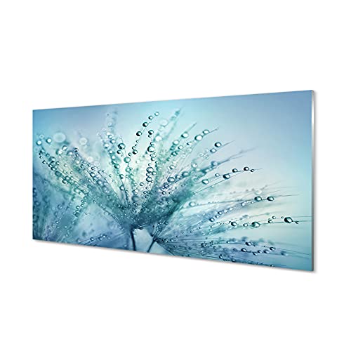 Tulup Acrylglas Bild Wandbild 100x50cm Wandbild Wassertropfen Dekoration Wohnzimmer Schlafzimmer - Drops Makro Löwenzahn Tulup Acrylglas Bild Wandbild 100x50cm Wandbild Wassertropfen Dekoration Wohnzimmer Schlafzimmer - Drops Makro Löwenzahn von Tulup