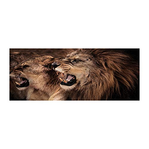 Tulup Glas-Bild Wandbild aus Glas - Wandkunst - Wandbild hinter gehärtetem Sicherheitsglas - Dekorative Wand für Küche & Wohnzimmer 125x50 - Tiere - Brüllende Löwen - Braun von Tulup