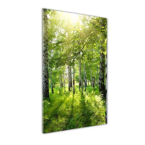 Tulup Glas-Bild Wandbild aus Glas - Wandkunst - Wandbild hinter gehärtetem Sicherheitsglas - Dekorative Wand für Küche & Wohnzimmer 70x140 - Landschaften - Birkenwald - Grün Tulup Glas-Bild Wandbild aus Glas - Wandkunst - Wandbild hinter gehärtetem Sicherheitsglas - Dekorative Wand für Küche & Wohnzimmer 70x140 - Landschaften - Birkenwald - Grün von Tulup