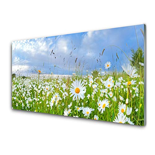 Tulup Glasbilder 100x50cm - Wandbild Druck auf Glas XXL Panorama-Bild Wandbilder aus Echt-Glas Sicherheitsglas Kunstdruck für Küche Wohnzimmer Wiese Gänseblümchen Natur von Tulup