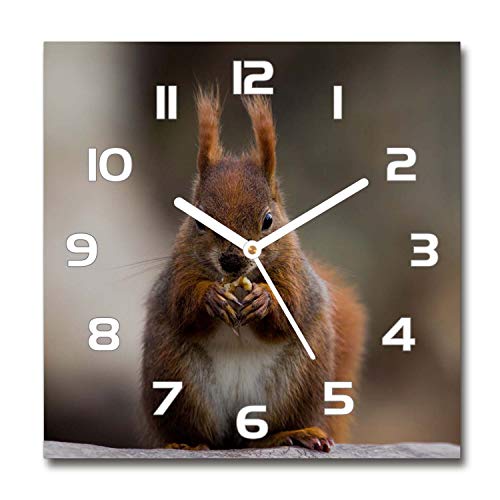 Tulup Glasuhr - 30x30cm - weißen Zeigern - Wanduhr Wandkunst Bild Gehärtetem Glas Uhr Echtglas Küche Wohnzimmer - Eichhörnchen von Tulup