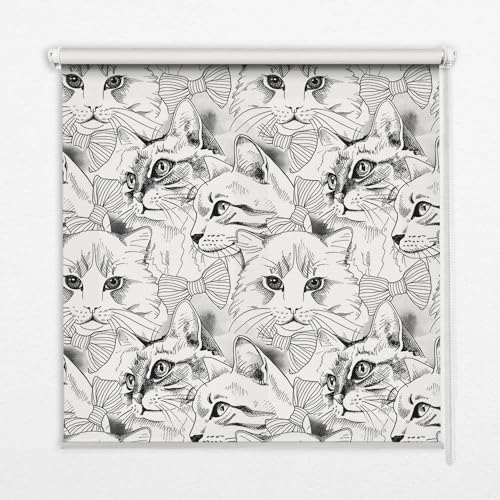 Tulup Innenbereich Für Fenster Verdunkelung 80x140cm Innenbereich Rollos Verdunkelung - Gezeichnete Katzen von Tulup
