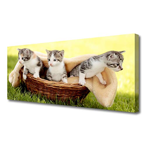 Tulup Leinwandbild 125x50cm - Wandbilder Druck Leinwandbild Canvas Kunstdruck Leinwanddruck - Katzen Tiere von Tulup