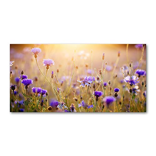Tulup Leinwandbild - Wandkunst - Drucke auf Leinwand - Leinwanddruck -140x70 cm - Blumen & Pflanzen - Mehrfarbig - Wildblumen von Tulup
