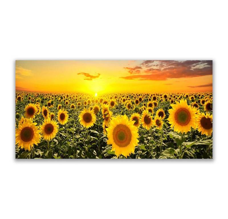 Tulup Leinwandbild XXL Wandbilder Leinwandbilder Bilder Canvas Bild 120 cm x 60 cm, Sonnenblumen, Leinwandbild von Tulup